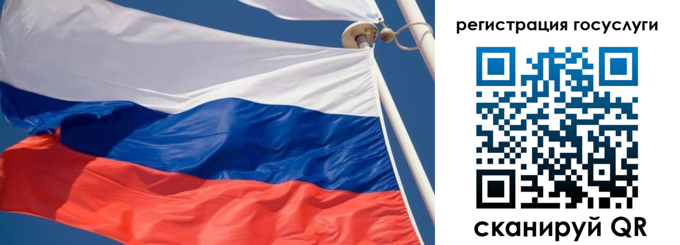 прописка для школы в Новокуйбышевске